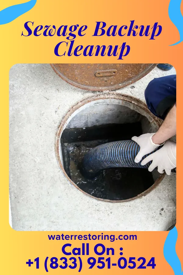 Sewage Backup Cleanup in Hawk Point, MO