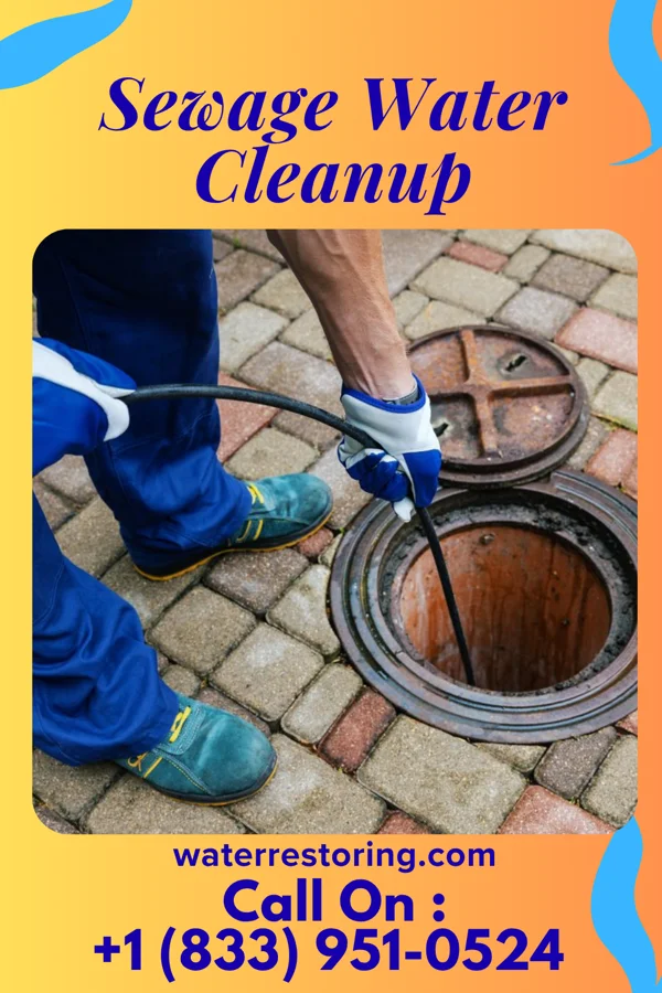 Sewage Water Cleanup in Hawk Point, MO
