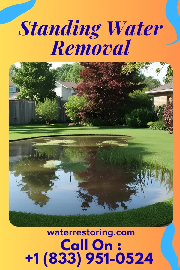 Standing Water Removal in Hawk Point, MO